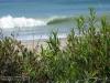 Image: Tanktop - Leo Carillo Campout 2008 78.JPG