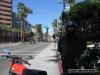 Image: Orange Crush 2009 064.JPG